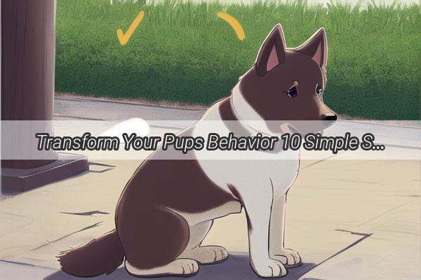 Transform Your Pups Behavior 10 Simple Steps to a WellBehaved Canine Companion